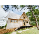 tiêu đề combo (1) (1) (1) (1) (1) (1) (1)