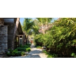 M Village Cách Mạng Tháng 8