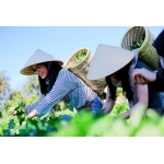 tiêu đề khách sạn (1) (1) (1) (1) (1) (1) (1) (1) (1) (1) (1) (1)