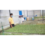 Khách Sạn Ngôi Sao Phương Nam