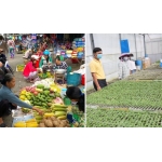 tiêu đề khách sạn (1) (1) (1) (1) (1)