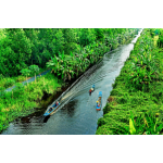 Homestay Đất Phú